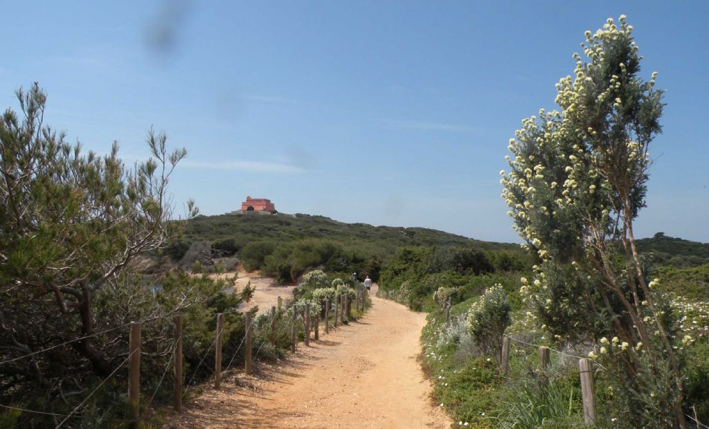 Porquerolles, Parco Nazionale di Port-Cros, Francia